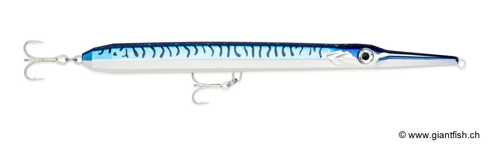 Silver Blue Mackerel (SBM)