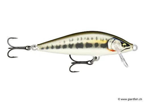 Rapala Leurre Rapala CountDown Elite