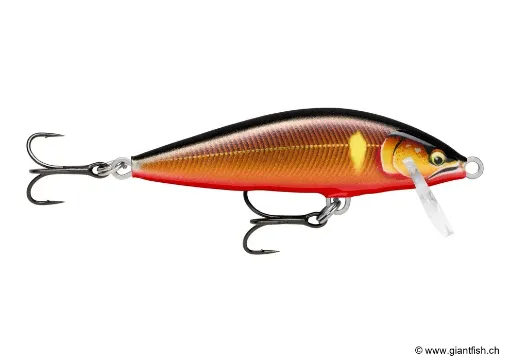 Rapala Leurre de pêche