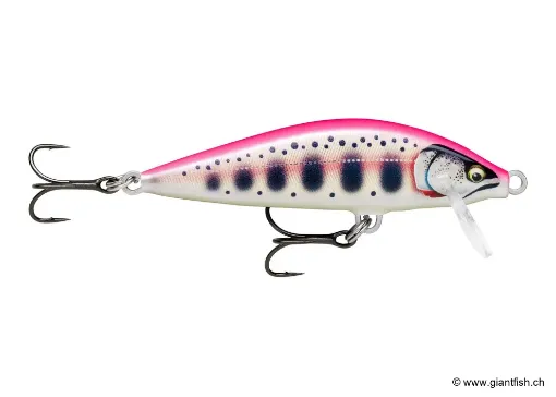 Rapala Leurre de pêche