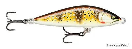 Rapala Leurre de pêche