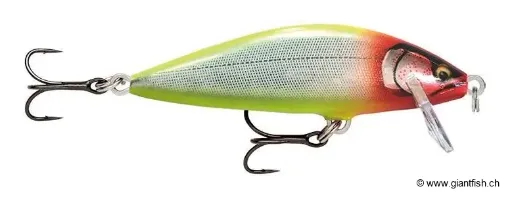 Rapala Leurre de pêche