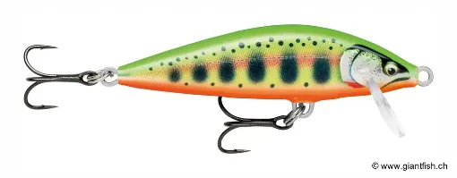 Rapala Leurre de pêche