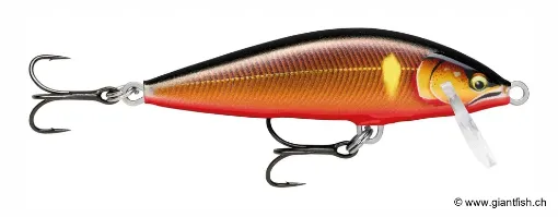 Rapala Leurre de pêche