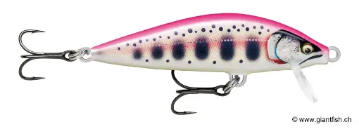 Rapala Leurre de pêche