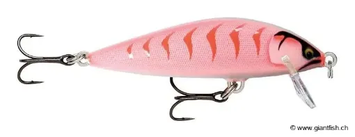 Rapala Leurre de pêche