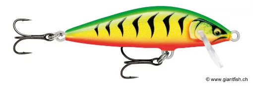 Rapala Leurre de pêche