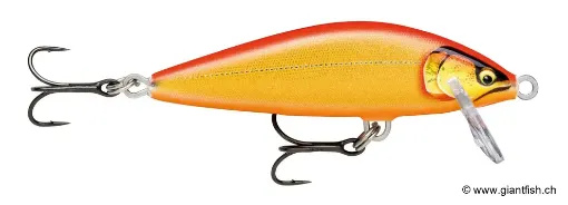 Rapala Leurre de pêche