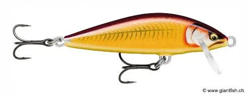 Rapala Leurre de pêche