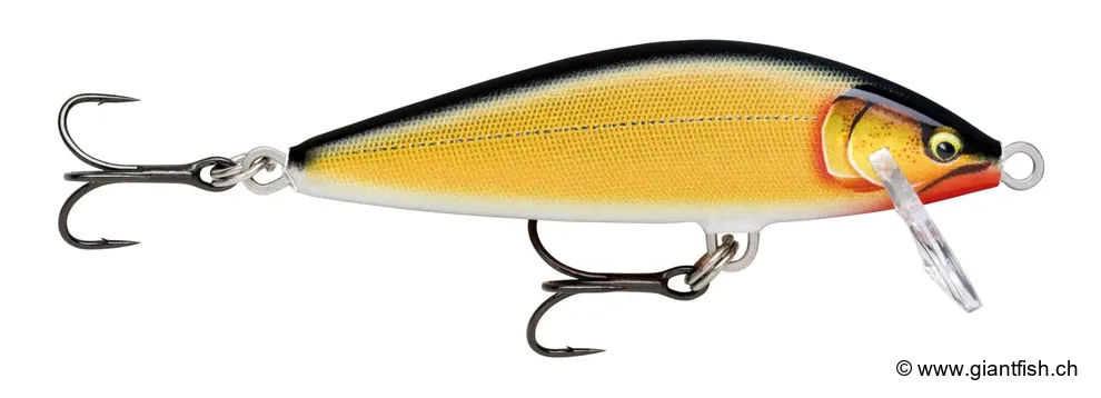 Glided Gold Shad (GDGS)