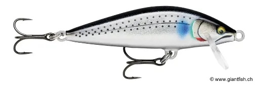 Rapala Leurre de pêche