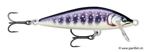 Rapala Leurre de pêche