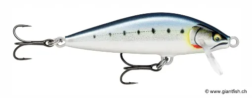 Rapala Leurre de pêche