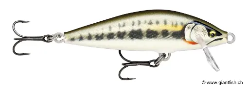 Rapala Leurre de pêche