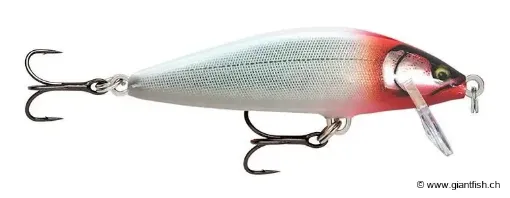 Rapala Leurre de pêche