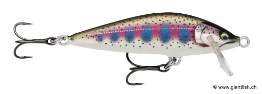 Rapala Leurre de pêche