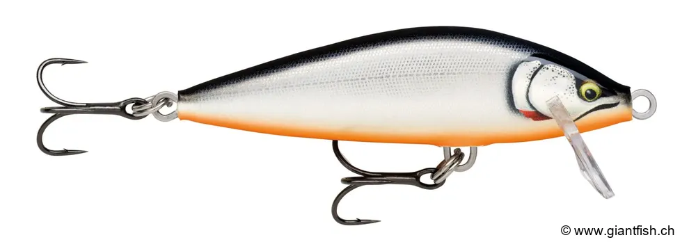 Glided Silver Shad (GDSS)