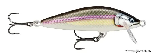 Rapala Leurre de pêche