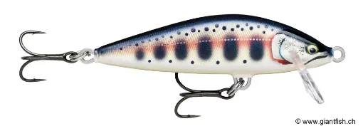 Rapala Leurre de peche countDown Elite