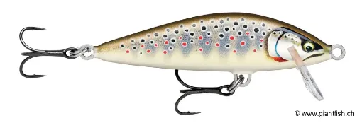 Rapala Leurre