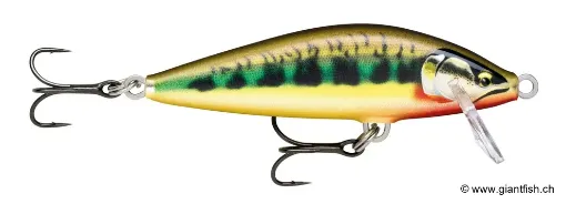 Rapala Leurre