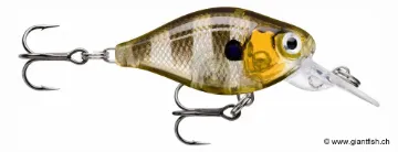 Rapala Leurre