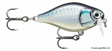 Rapala Leurre de pêche CountDown