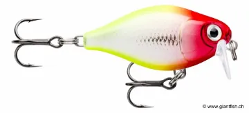 Rapala Leurre de pêche CountDown