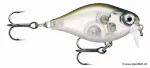 Ghost Shiner (GHSH)