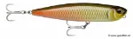 Arapaima (APM)