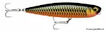Red Dragon Arowana (RDAW)