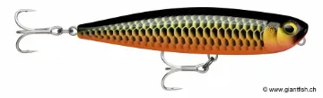 Rapala PXRPE Leurre de Pêche