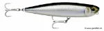 Tarpon (TRP)