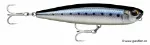 Live Blue Sardine (BSRDL)