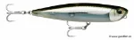 Moss Back Shiner (MBS)