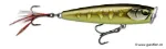 Glided Striped Grey Shiner (GDSGS)