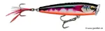 Glided Toman (GDTMN)