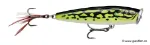 Glided Lime Frog (GDLF)