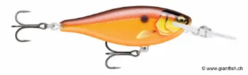 Rapala Leurre de pêche