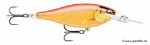 Glided Gold Orange (GDGO)