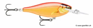 Rapala Leurre de pêche