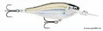 Glided Mangrove Minnow (GDMM)