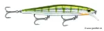 Metallic Yellow Perch (MYP)