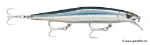 Anchovy (ANC)