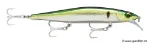 Pilchard (PLD)