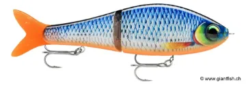 Rapala Leurre Rapala Super Shad Rap