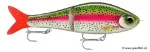 Live Rainbow Trout (RTL)