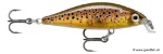 Live Brown Trout (TRL)