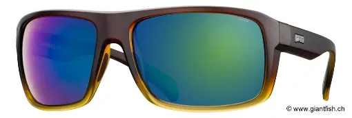 Rapala Lunettes de pêche polarisantes