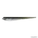 Kibinago Green Eel